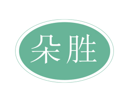 朵胜 第9类科学仪器商标图样