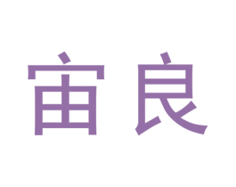 宙良 第9类科学仪器商标图样