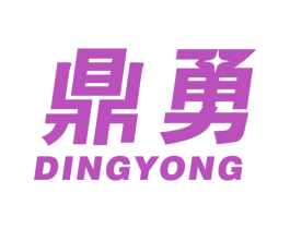 鼎勇 第9类科学仪器商标图样