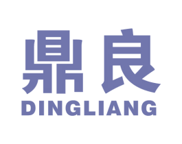 鼎良 第9类科学仪器商标图样