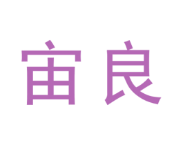 宙良 第6类五金金属商标图样