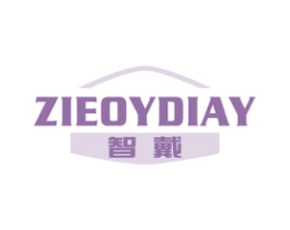 智戴 ZIEOYDIAY 第10类医疗器械商标图样