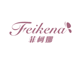 菲柯娜 第27类地毯席垫商标图样