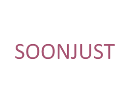 SOONJUST 第11类家用电器商标图样