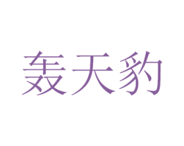 轰天豹 第9类科学仪器商标图样