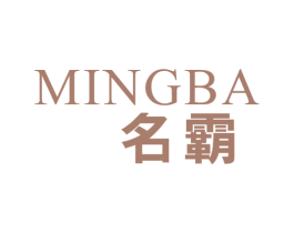 名霸 第9类科学仪器商标图样