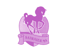 SAIWAIER MA 第25类服装鞋帽商标图样
