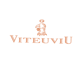 VITEUVIU 第25类服装鞋帽商标图样