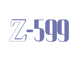 Z-599 第25类服装鞋帽商标图样