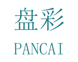 盘彩 第16类办公工具商标图样