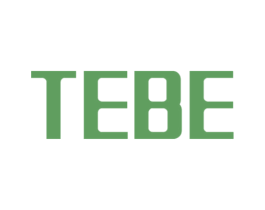 TEBE 第10类医疗器械商标图样