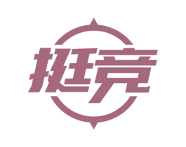 挺竞 第25类服装鞋帽商标图样