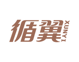 循翼 第9类科学仪器商标图样