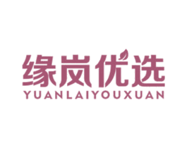 缘岚优选 YUANLAIYOUXUAN 第35类广告贸易商标图样