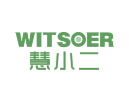 慧小二 WITSOER 第11类家用电器商标图样