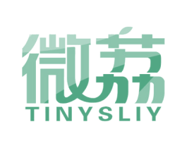 微荔 TINYSLIY 第9类科学仪器商标图样