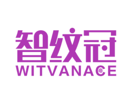 智纹冠  WITVANACE 第9类科学仪器商标图样