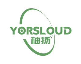 柚扬 YORSLOUD 第9类科学仪器商标图样