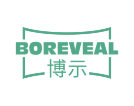 博示 BOREVEAL 第9类科学仪器商标图样