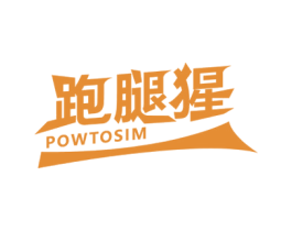 跑腿猩 POWTOSIM 第9类科学仪器商标图样