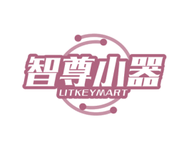 智尊小器 LITKEYMART 第9类科学仪器商标图样