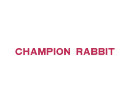 CHAMPION RABBIT 第27类地毯席垫商标图样