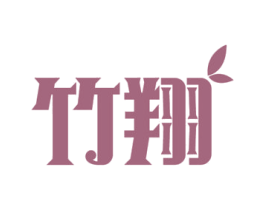 竹翔 第11类家用电器商标图样