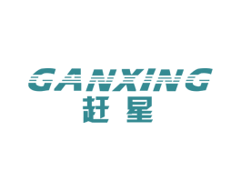 赶星 第9类科学仪器商标图样