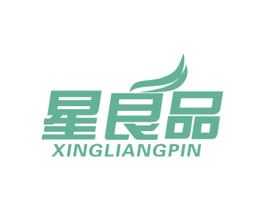 星良品 第9类科学仪器商标图样
