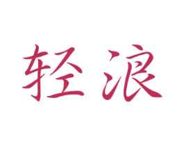 轻浪 第9类科学仪器商标图样