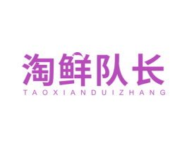 淘鲜队长 第43类餐饮酒店商标图样