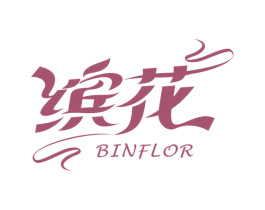 缤花 BINFLOR 第13类军火烟火商标图样