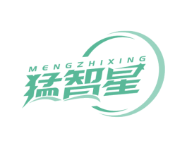 猛智星 第12类运输工具商标图样