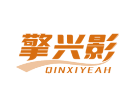 擎兴影 QINXIYEAH 第9类科学仪器商标图样