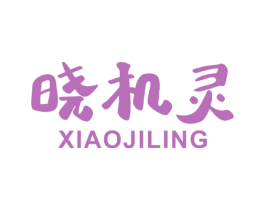 晓机灵 第42类技术服务商标图样