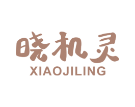 晓机灵 第41类教育娱乐商标图样