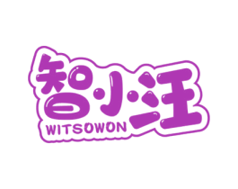 智小汪 WITSOWON 第11类家用电器商标图样