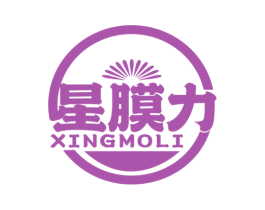 星膜力 第9类科学仪器商标图样