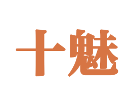 十魅 第27类地毯席垫商标图样
