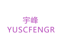 宇峰 YUSCFENGR 第14类珠宝钟表商标图样