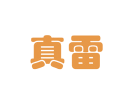 真雷 第12类运输工具商标图样