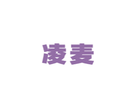 凌麦 第12类运输工具商标图样