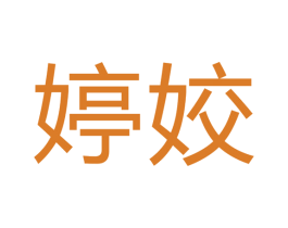 婷姣 第9类科学仪器商标图样