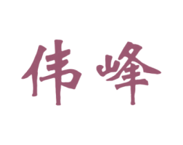 伟峰 第9类科学仪器商标图样