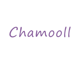 CHAMOOLL 第25类服装鞋帽商标图样