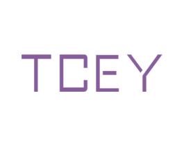 TCEY 第9类科学仪器商标图样