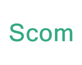 SCOM 第6类五金金属商标图样