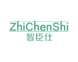 智臣仕 第11类家用电器商标图样