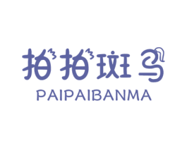 拍拍斑马 第9类科学仪器商标图样