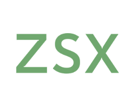 ZSX 第10类医疗器械商标图样